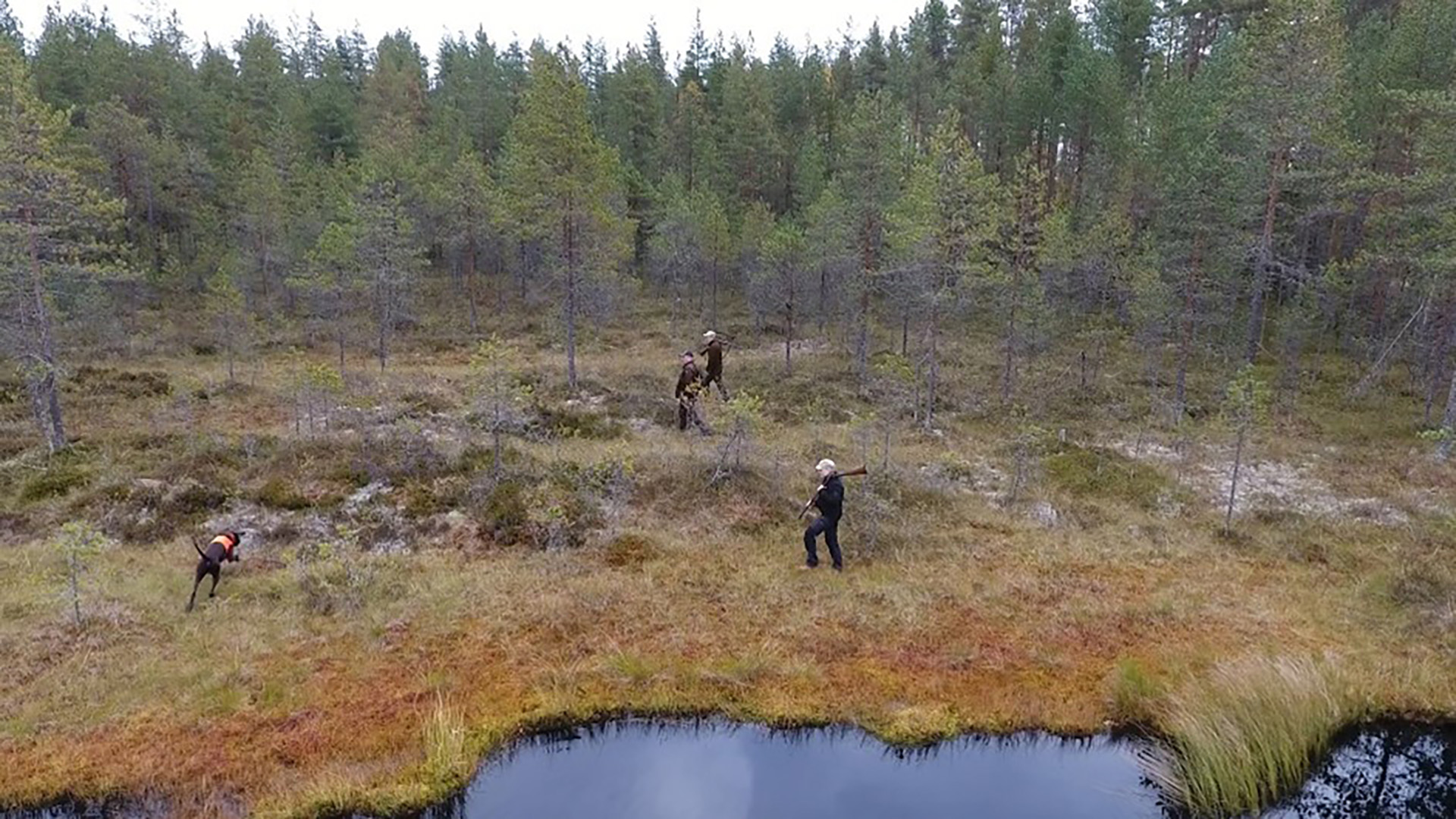 Ihmisiä ja koira kävelemässä suon laidalla