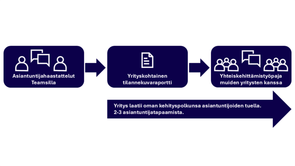 Kolmivaiheinen prosessi vasemmalta oikealle: asiantuntijahaastattelut, yrityskohtainen tilannekuvaraportti, yhteiskehittämistyöpaja muiden yritysten kanssa. Näiden alla nuolessa etenee yrityksen oma kehityspolku, jonka se laatii asiantuntijoiden tuella.
