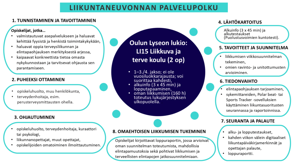 Kaavio esittää liikuntaneuvonnan palvelupolun kahdeksassa vaiheessa opiskelijoiden tunnistamisesta omaehtoisen liikkumisen tukemiseen, sisältäen kartoitukset, suunnittelun, seurannan ja palautteen.