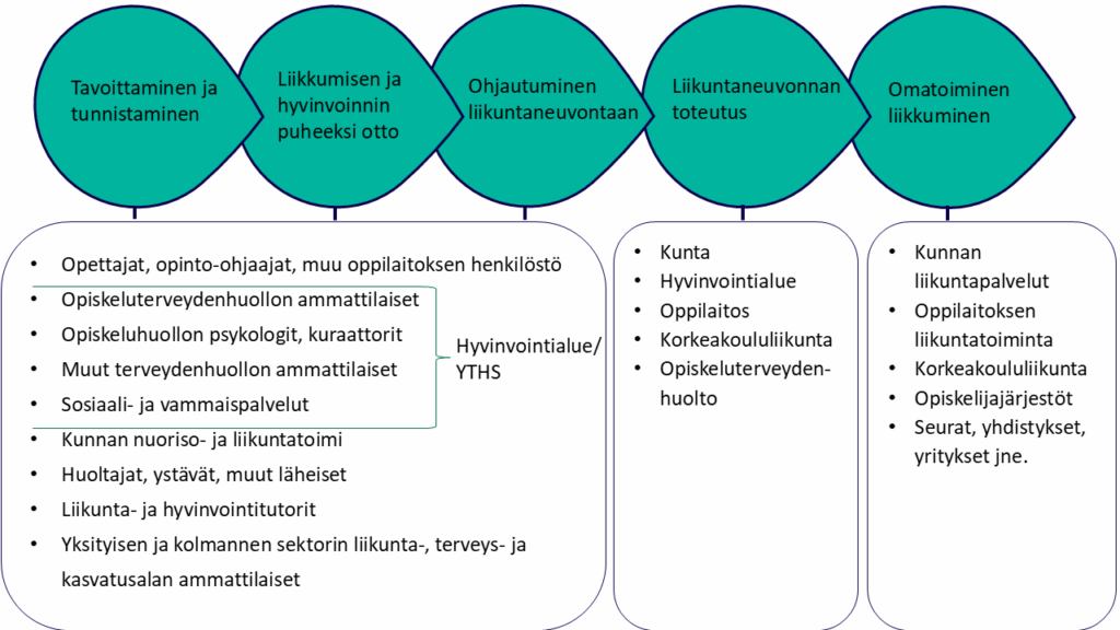 Kaavio kuvaa liikuntaneuvonnan etenemisen tunnistamisesta omaehtoiseen liikkumiseen sekä eri toimijat, kuten oppilaitoksen henkilöstö, opiskeluterveydenhuolto, kunta ja järjestöt.